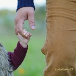 Noticias    Noticias