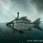 Noticias    Noticias